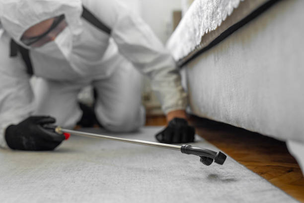 Professional Pest Control technician working in Rusk County County, TX